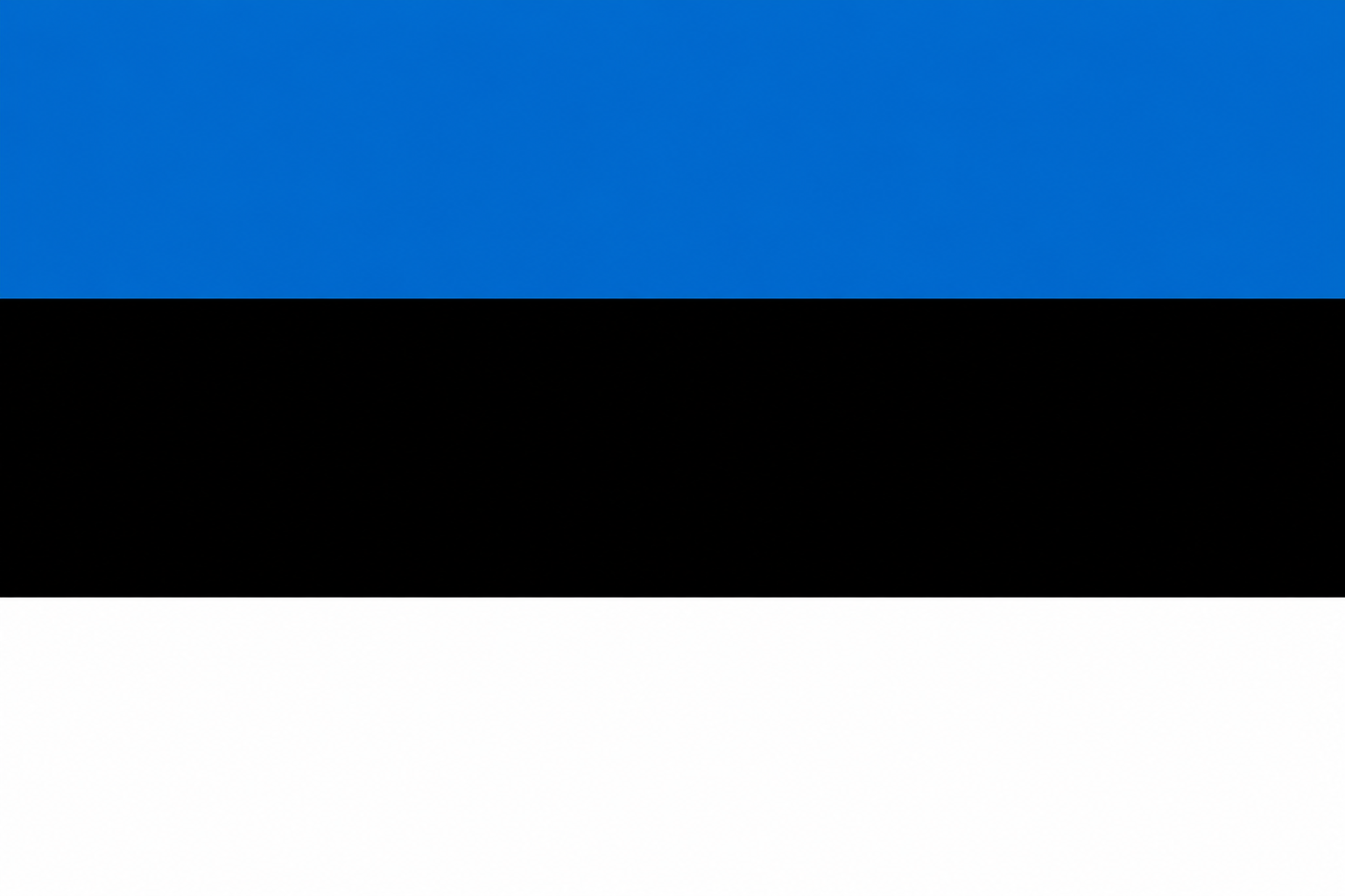 Estonia Flag